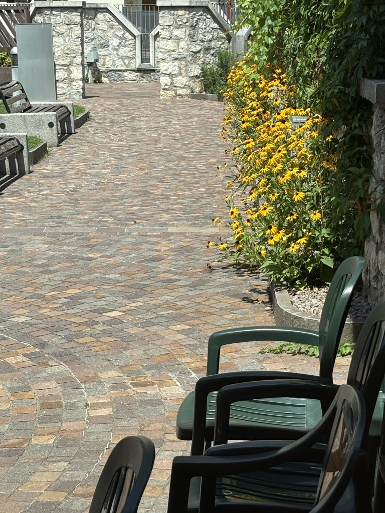 Terrazza esterna con fioritura